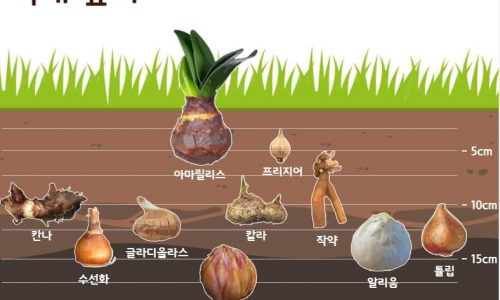 KakaoTalk_20200216_152901884_01